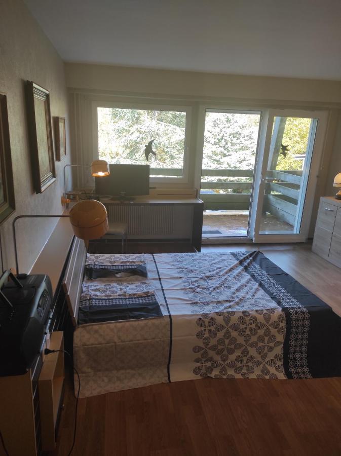 Résidence le Faucon - Col du Donon - B&B Grandfontaine