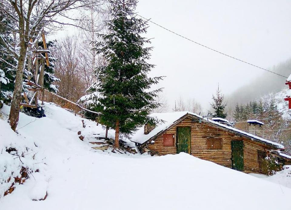 Zimska idila - B&B Crni Vrh