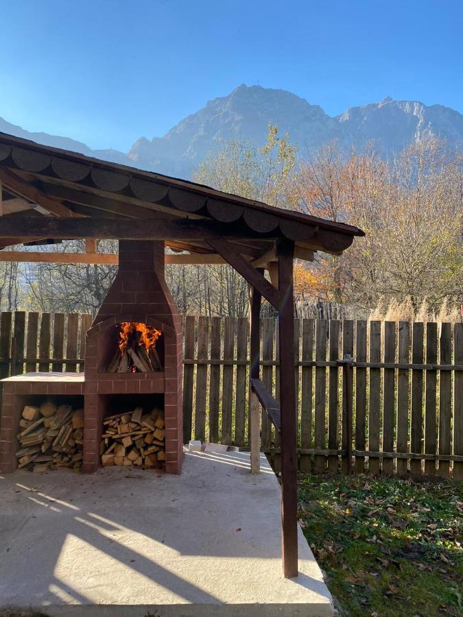B House Bușteni - B&B Buşteni