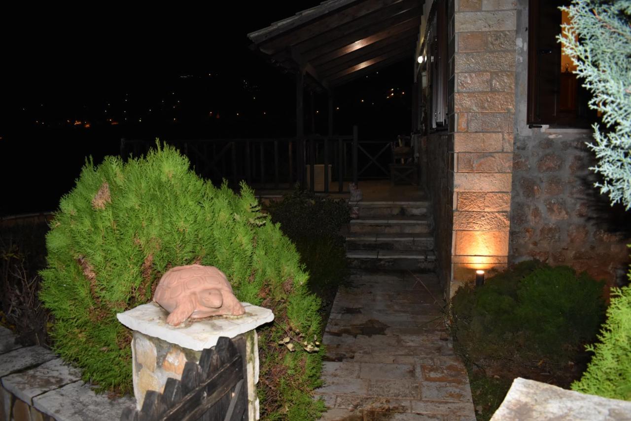 Trikala's Panoramic View Villa - B&B Mési Sinoikía Trikálon