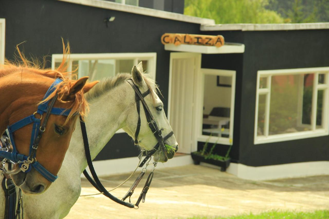 Glamping Caliza La Calera - B&B La Calera