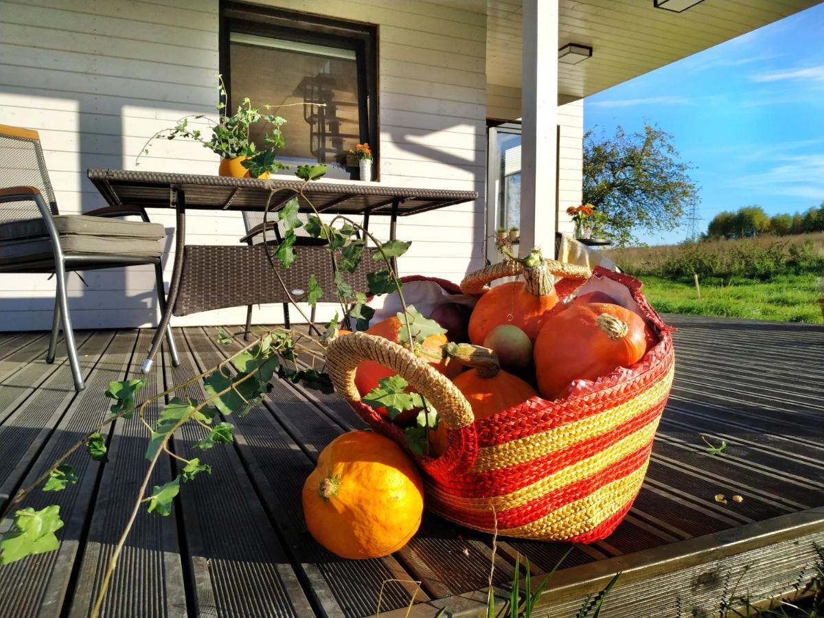 Chwila Pauzy - B&B Tolkmicko