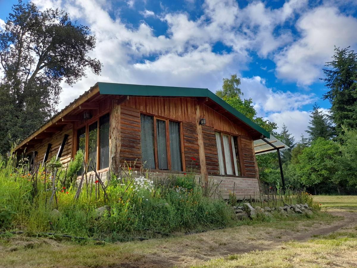Cabaña Camila - B&B