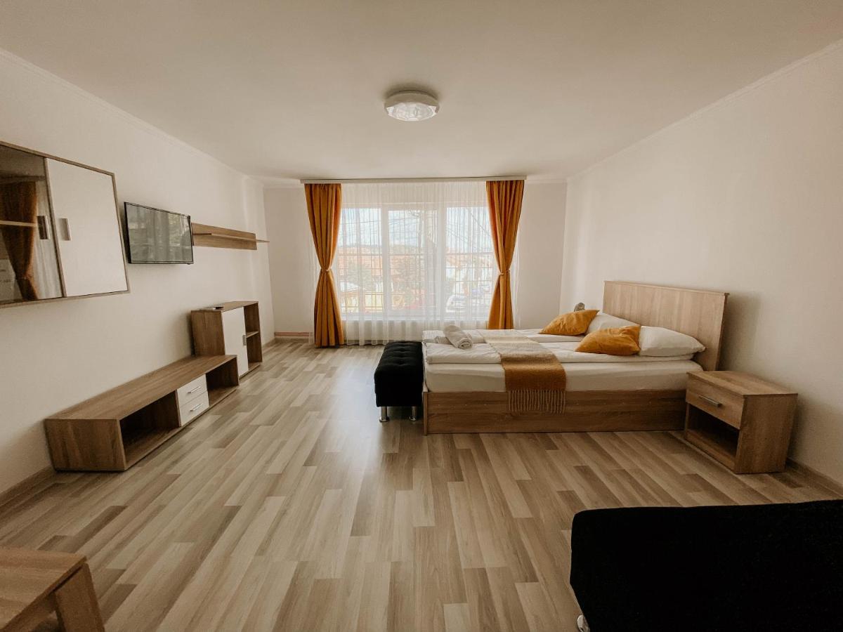 B&B Oradea - Paula Apartment & Rooms - Bed and Breakfast Oradea