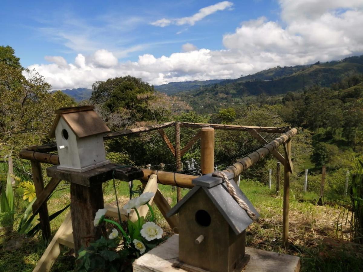 ALMA Glamping - San Francisco Cund - A 1h de Bogotá - B&B San Francisco