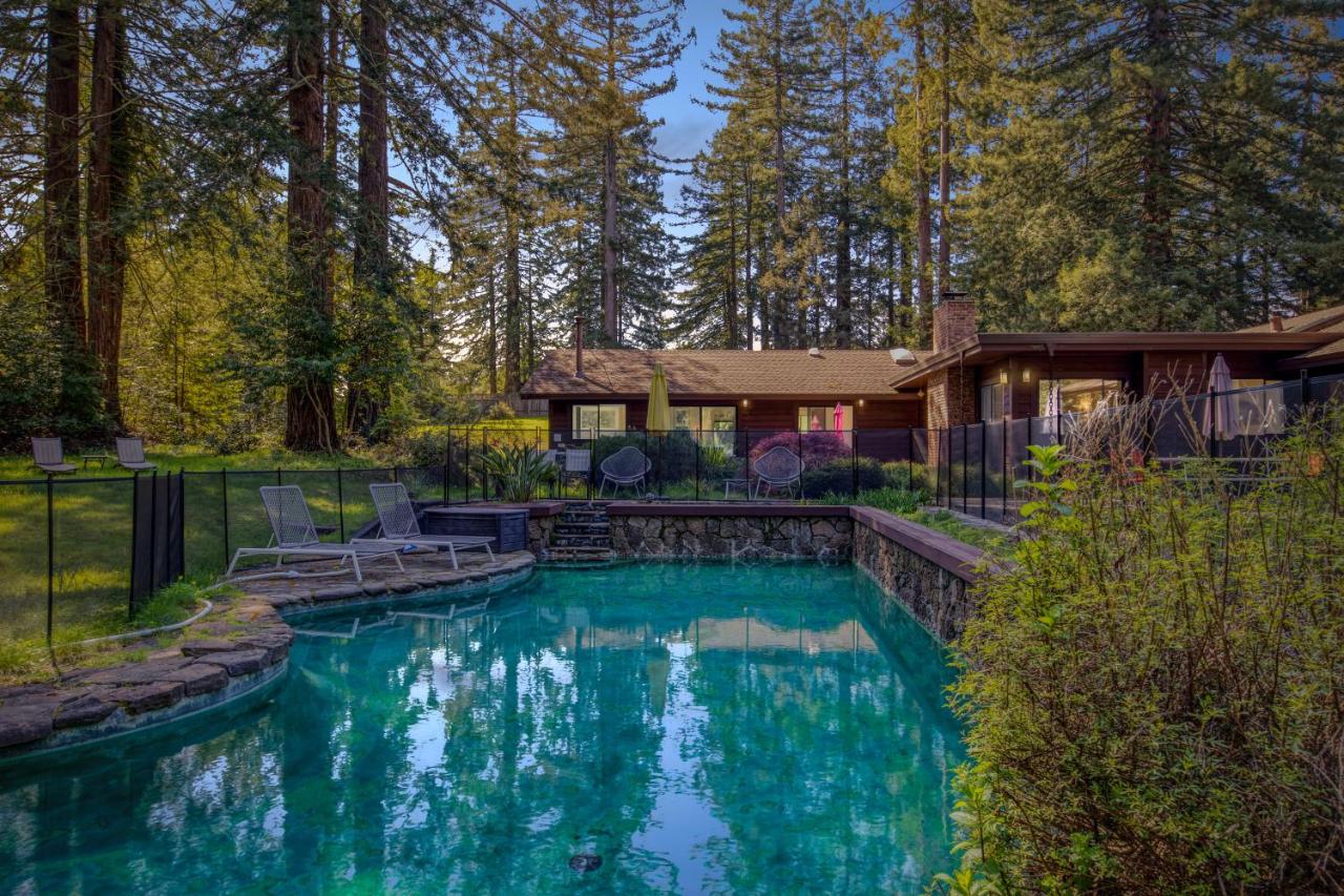 B&B Sebastopol - Forest Ridge - Private Pool, Hot Tub, Yoga Room and Sauna - Bed and Breakfast Sebastopol