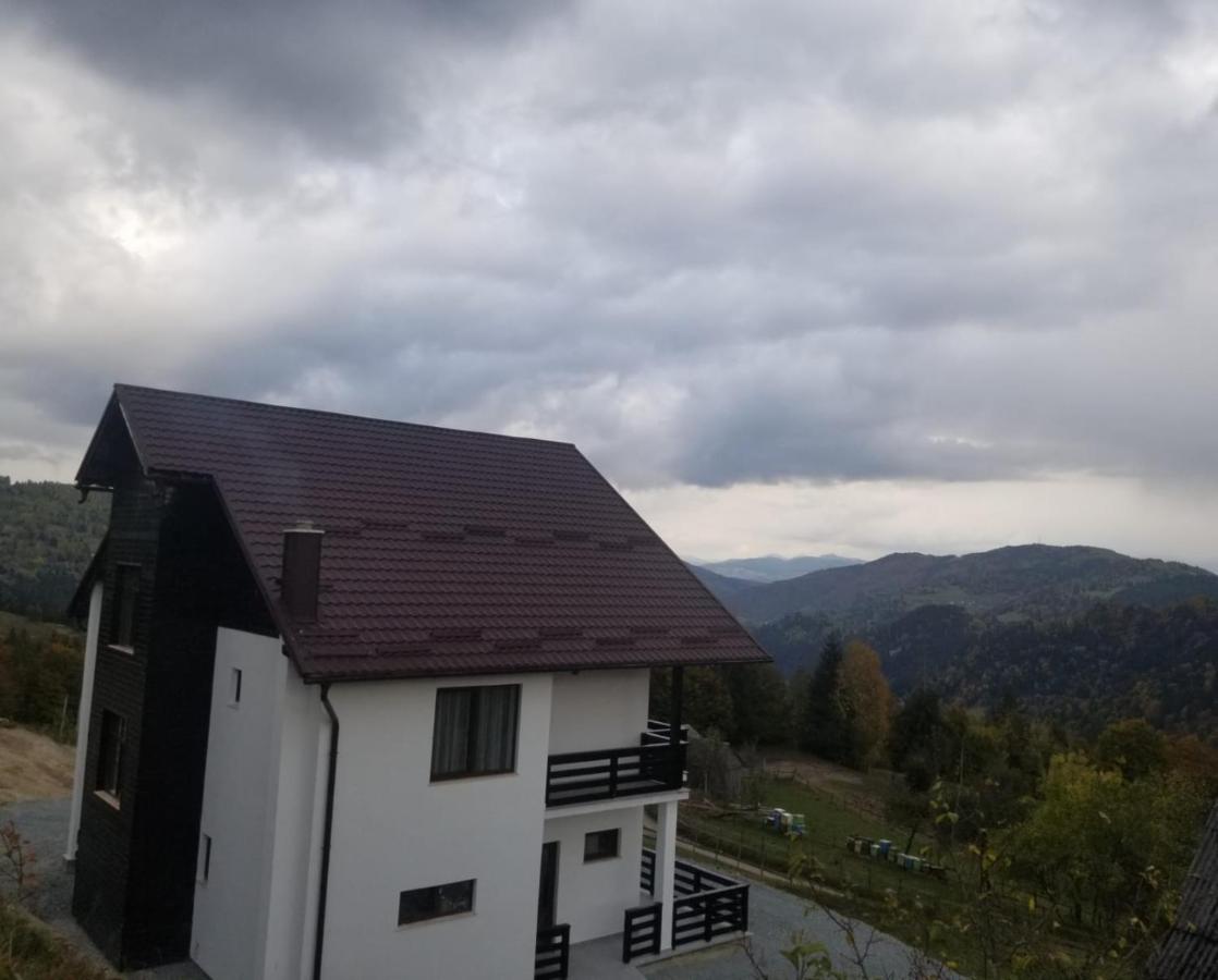 Pensiunea Agroturistica Acvila Apusenilor - B&B Vadu Moţilor