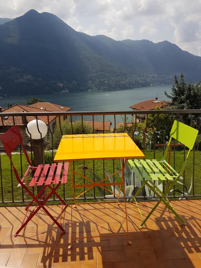 Flora - B&B Moltrasio