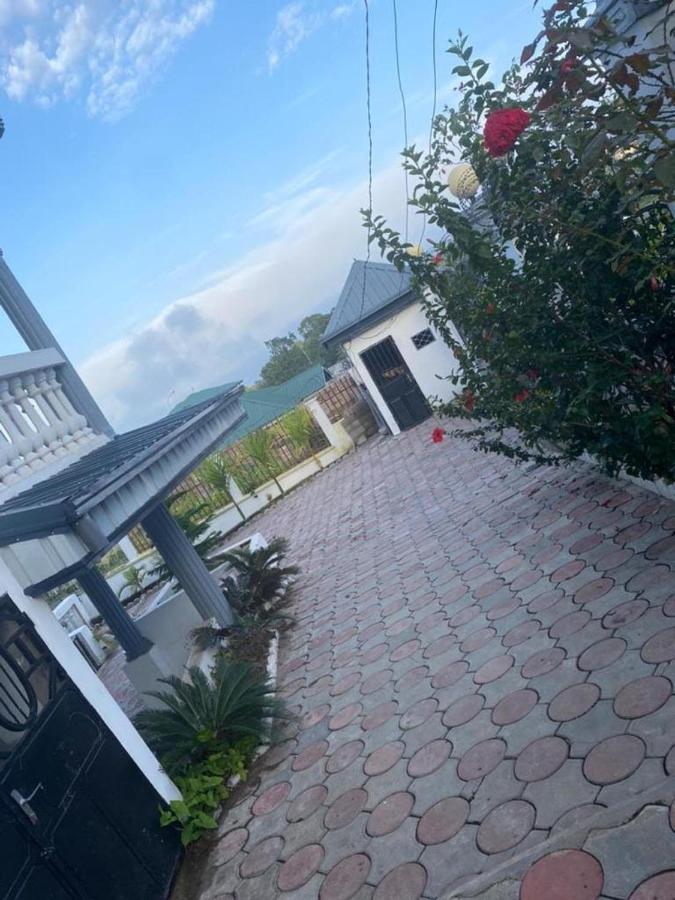 Superior Appartement met Balkon
