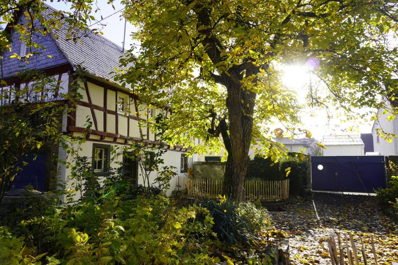 Hedwigs Hexenhäuschen - B&B
