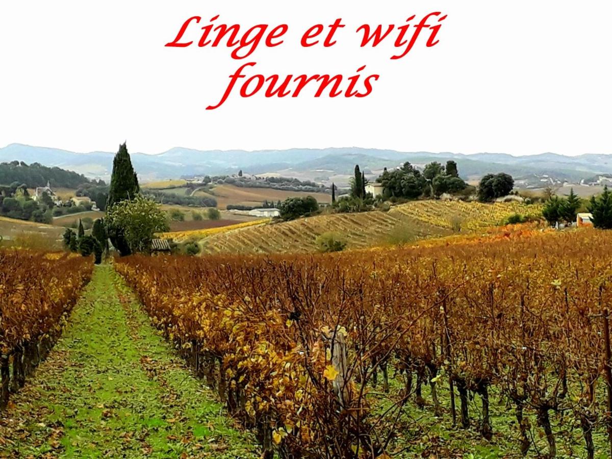 B&B Limoux - La Languedocienne appartement climatisé centre ville wifi inclus - Bed and Breakfast Limoux