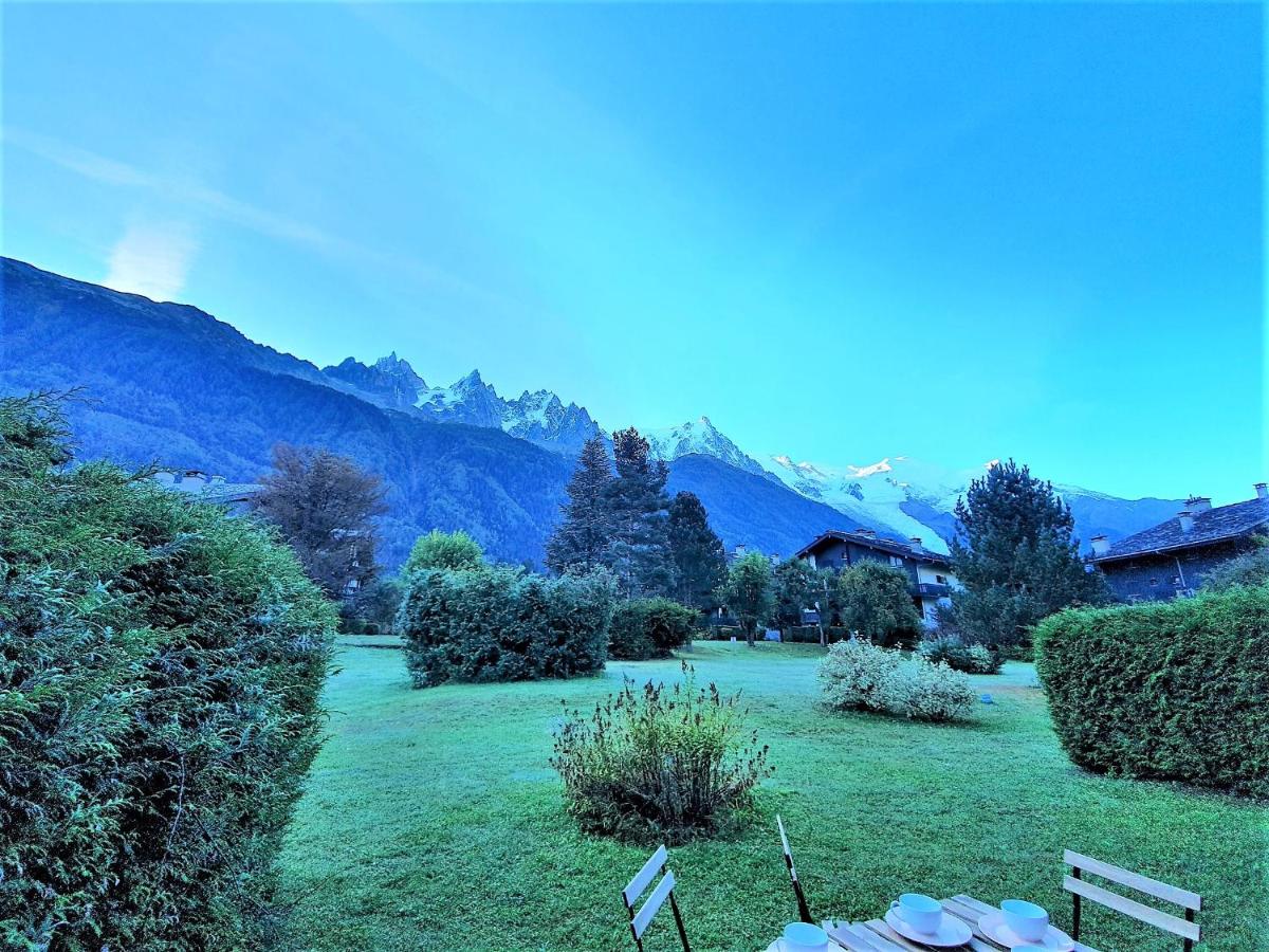 Chamonix Appartement Vue Mont Blanc avec jardin - Chambres d’hôtes Chamonix-Mont-Blanc