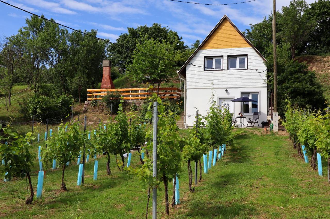 B&B Baj - Szőlőskert Vendégház - Bed and Breakfast Baj