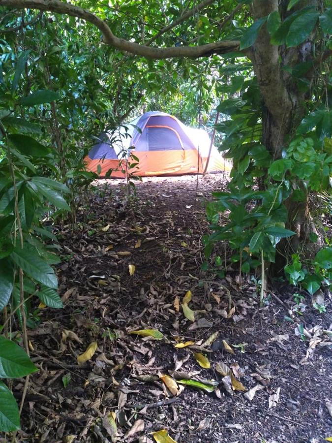 Tenda