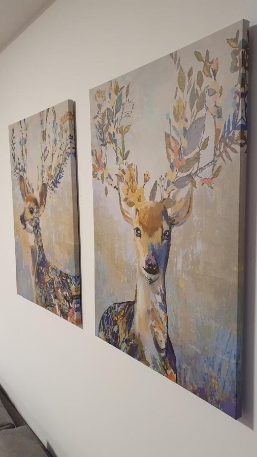 Relax apartment Kopaonik - Ferienwohnung Kopaonik