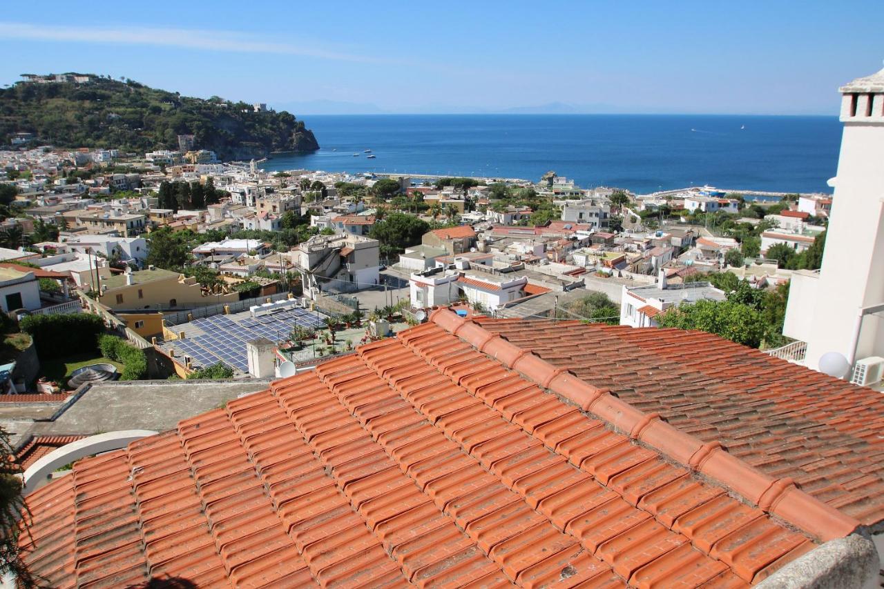 Lacco Terrace Solarium - B&B Ischia