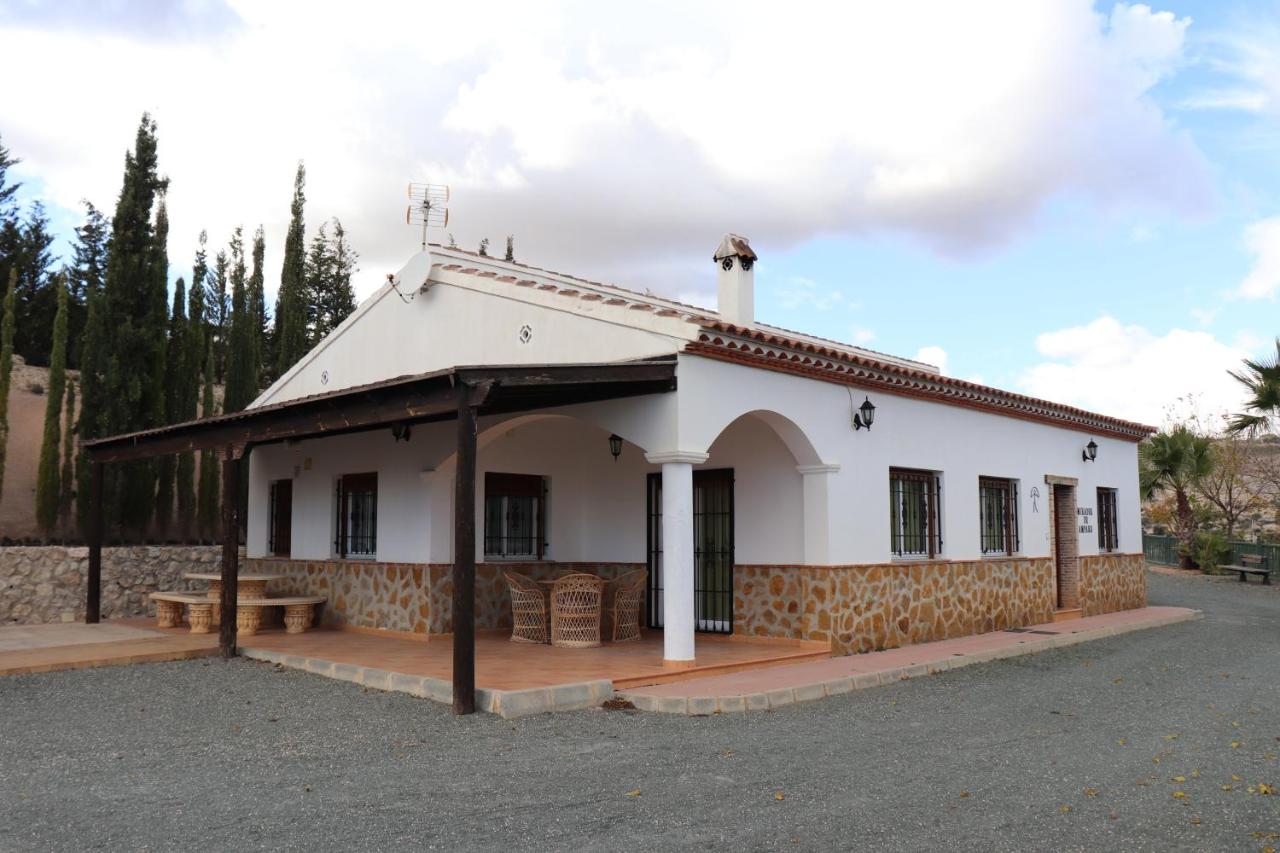 MIRADOR DE AMPARO - B&B