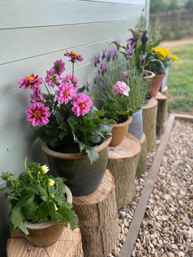 Cosy Cotswolds Self-Contained One Bedroom Cottage - B&B