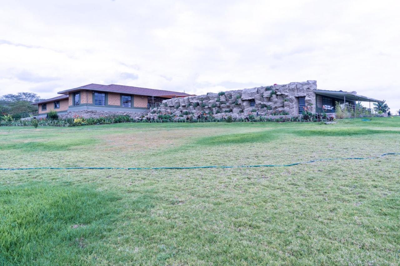 Alphas Homestay - B&B