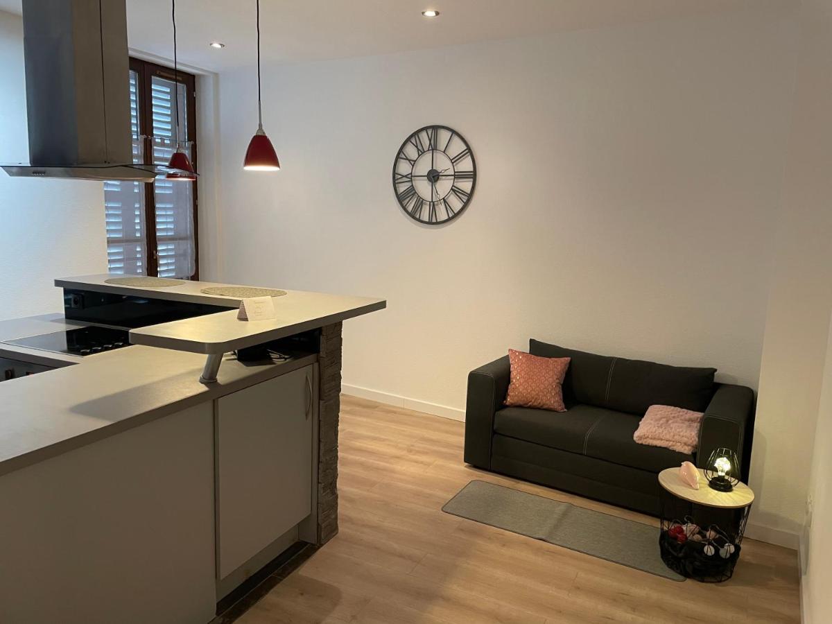 Chaleureux F2 dans l’hypercentre colmarien - B&B