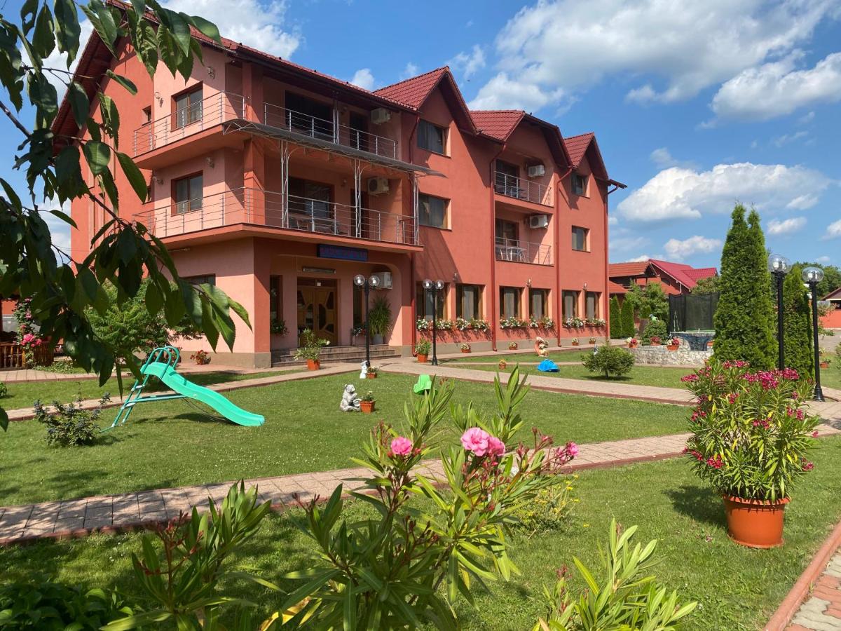 Pensiunea Viitorul - Chambres d'hôtes Baia de Fier