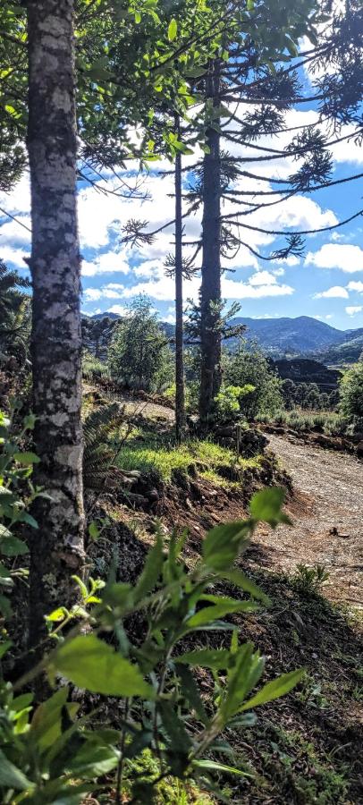 Chalet with Valley View