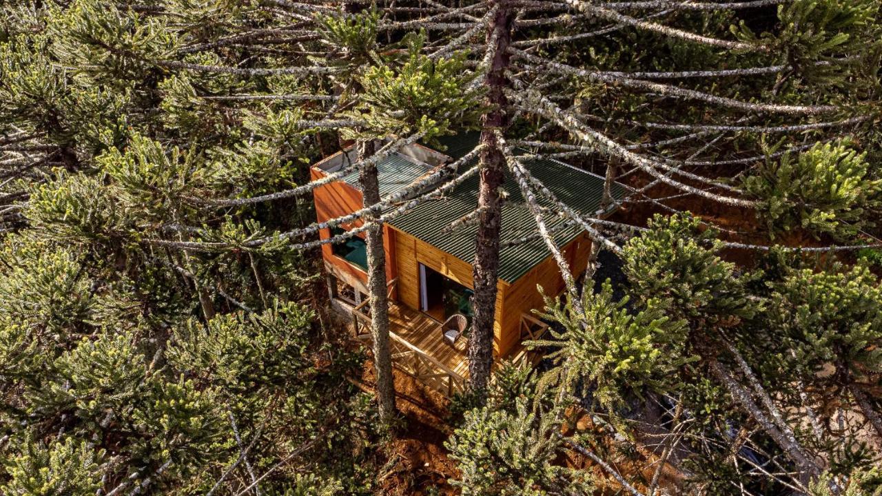 Superior Chalet