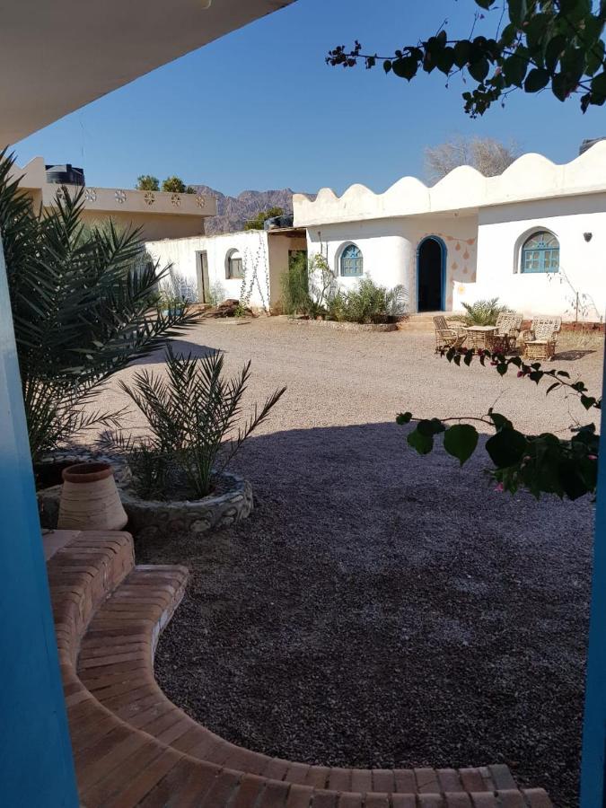 Habiba Beach Lodge - Bed and Breakfast Nuwaybi‘a