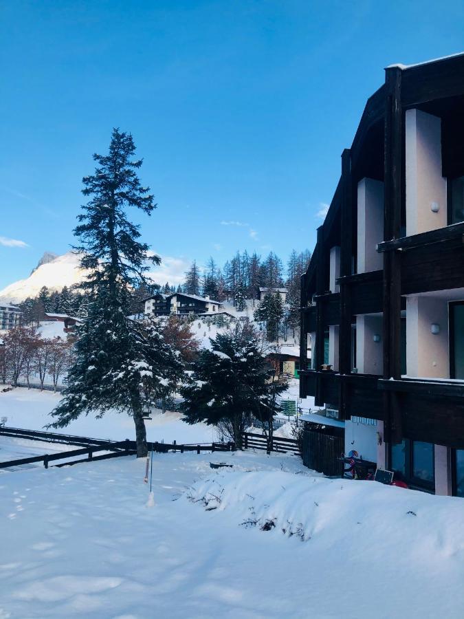 NEST'L Appartements & Zimmer - Ferienwohnung