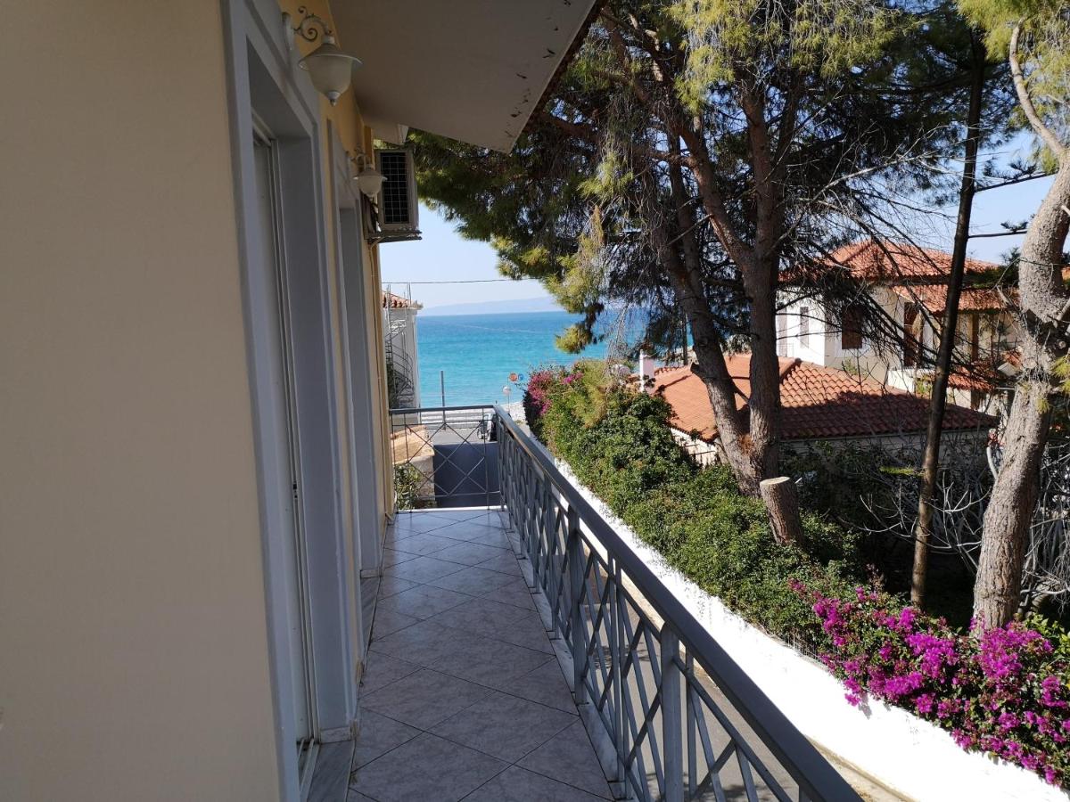 B&B Kalamata - Panos & Antzy Apartments - Bed and Breakfast Kalamata