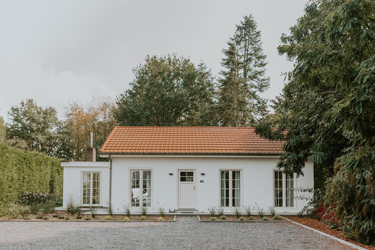 Kipdorp39 - B&B