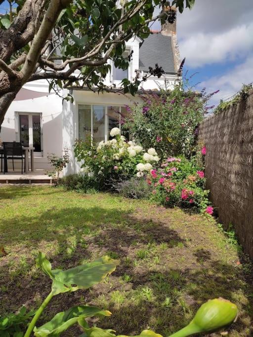 La Maison du Verger avec Jardin - B&B