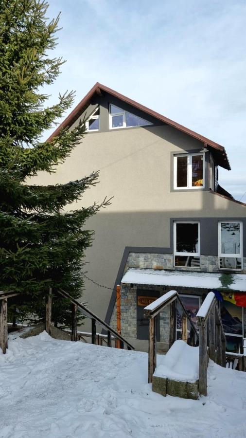 Pensiunea Allma - B&B
