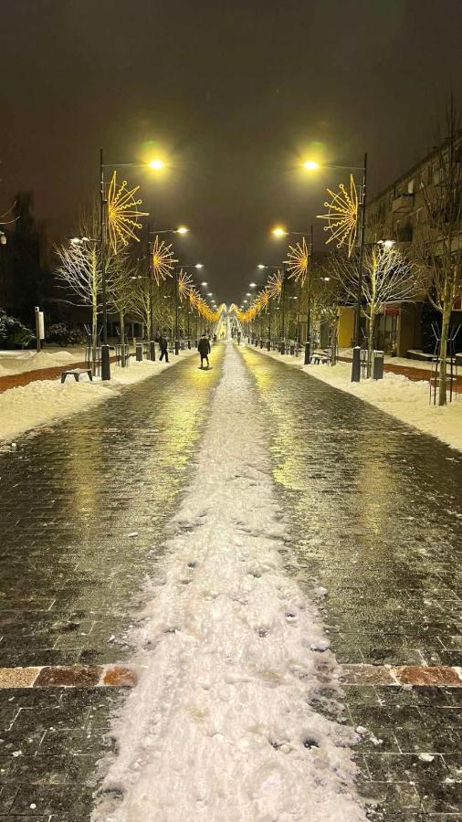 Central Boulevard Apartment - B&B Šiauliai