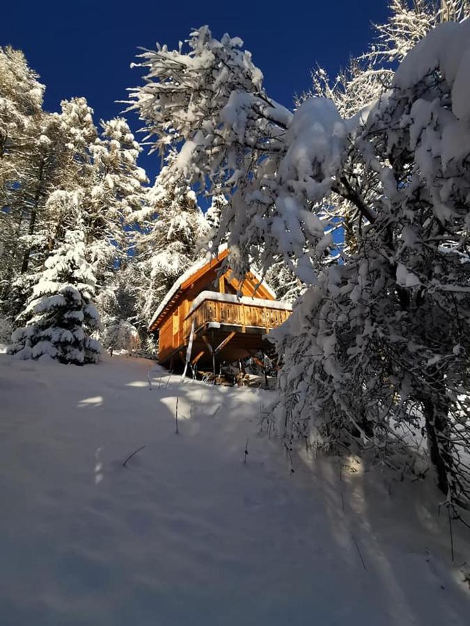 Chalet con 1 Camera da Letto
