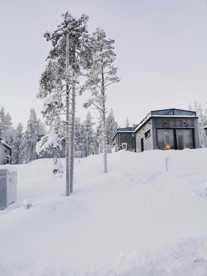 Levi Sky Igloo with private sauna and hot tub - B&B