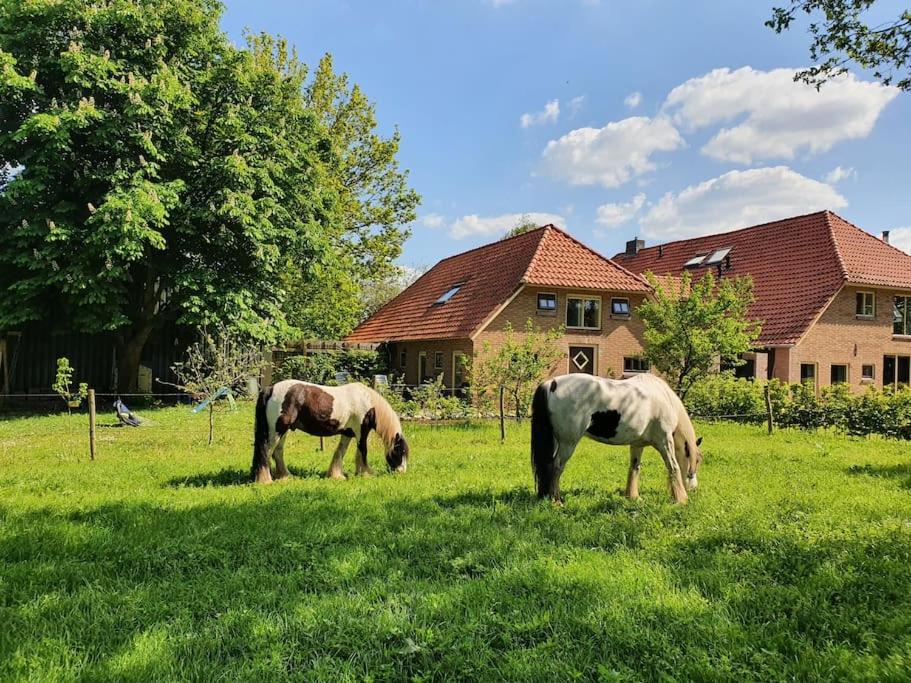 B&B Ruurlo - Leuk boerderijtje op prachtige plek, nabij natuurgebied - Bed and Breakfast Ruurlo