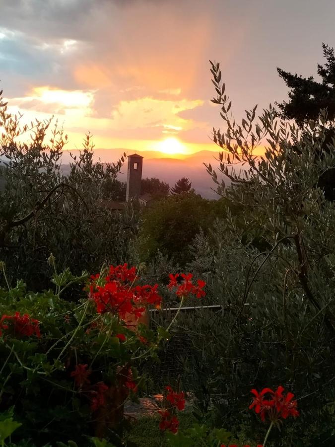 B&B Pomino - La casetta di campagna Alloggio nel Chianti - Bed and Breakfast Pomino