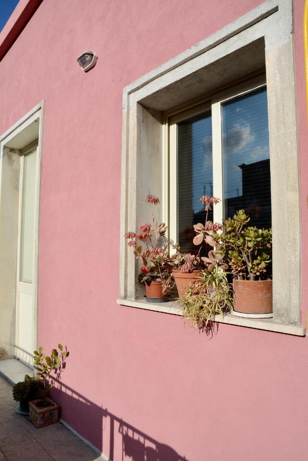 Il giardino delle zagare - miniappartamento tra Etna e mare - B&B Riposto