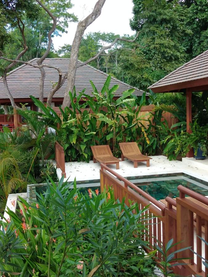 Canta La Rana - B&B Bejuco