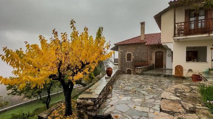 Arcadianis Villa at Psari Trikolonon Gortynia - B&B Psárion