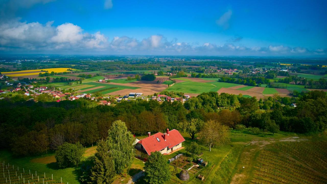 Villa con Vista Giardino