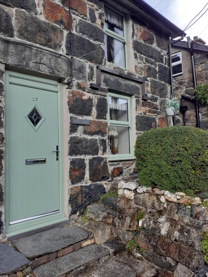 B&B Beddgelert - bryn cilio - Bed and Breakfast Beddgelert