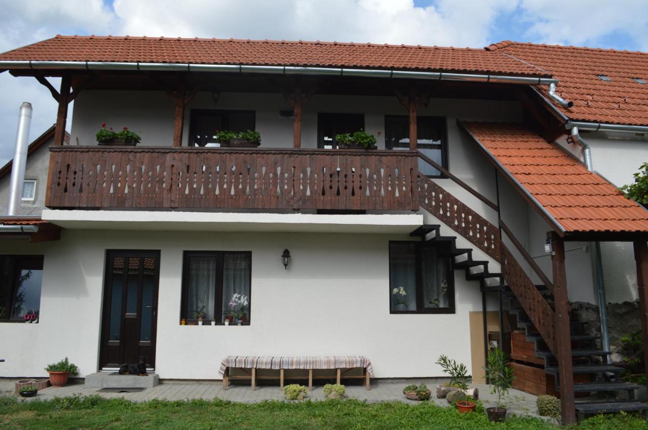 Havasi gyopár - B&B