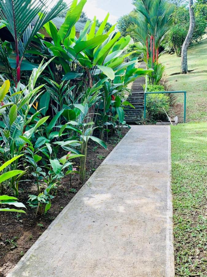 Camera Doppia con Letti Singoli con Vista Giardino