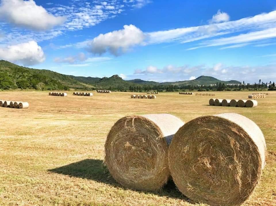 Queen Room with Garden View