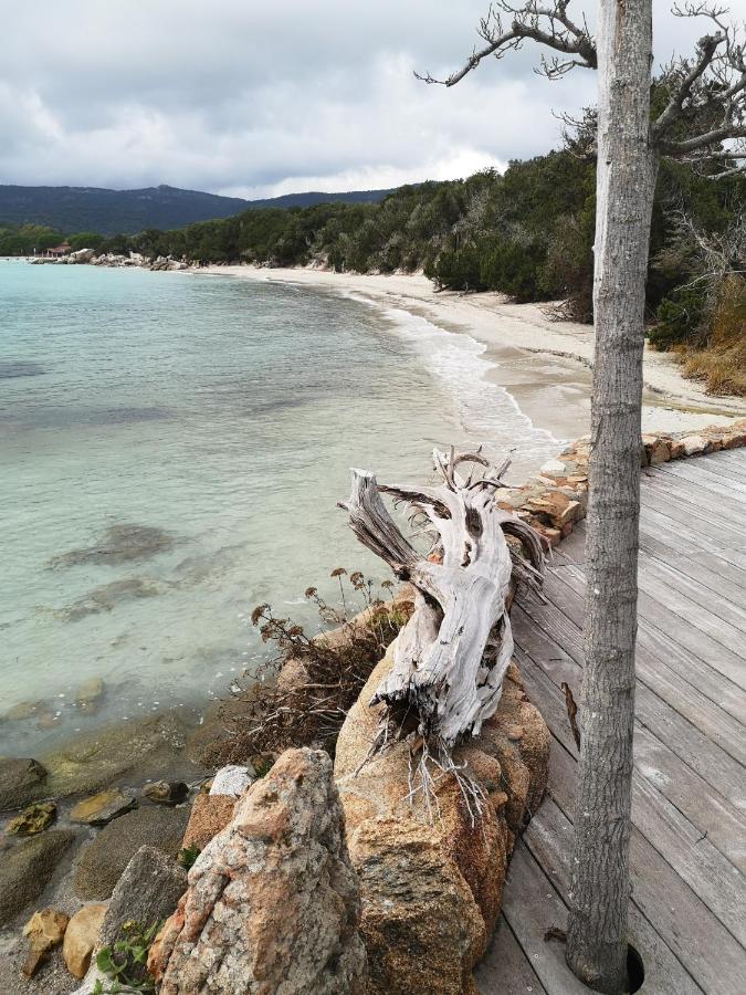 Residence Cala Sultana -Baie Santa Giulia - rez jardin 1ere ligne - Chambres d'hôtes Porto-Vecchio
