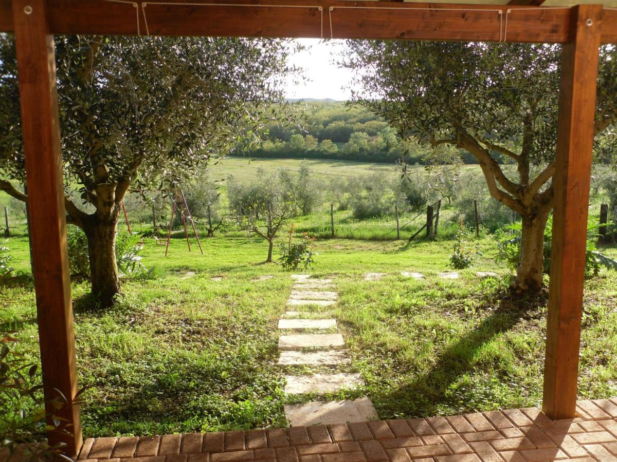 Agriturismo Podere Borgognano - B&B