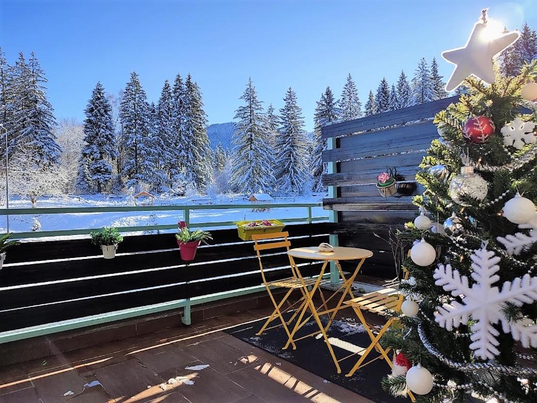 The Evergreen Nest - Silver Mountain - B&B Poiana Brasov