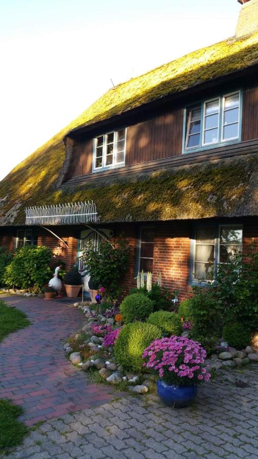 B&B Neukirchen - Ferienwohnung op de Warft - Bed and Breakfast Neukirchen